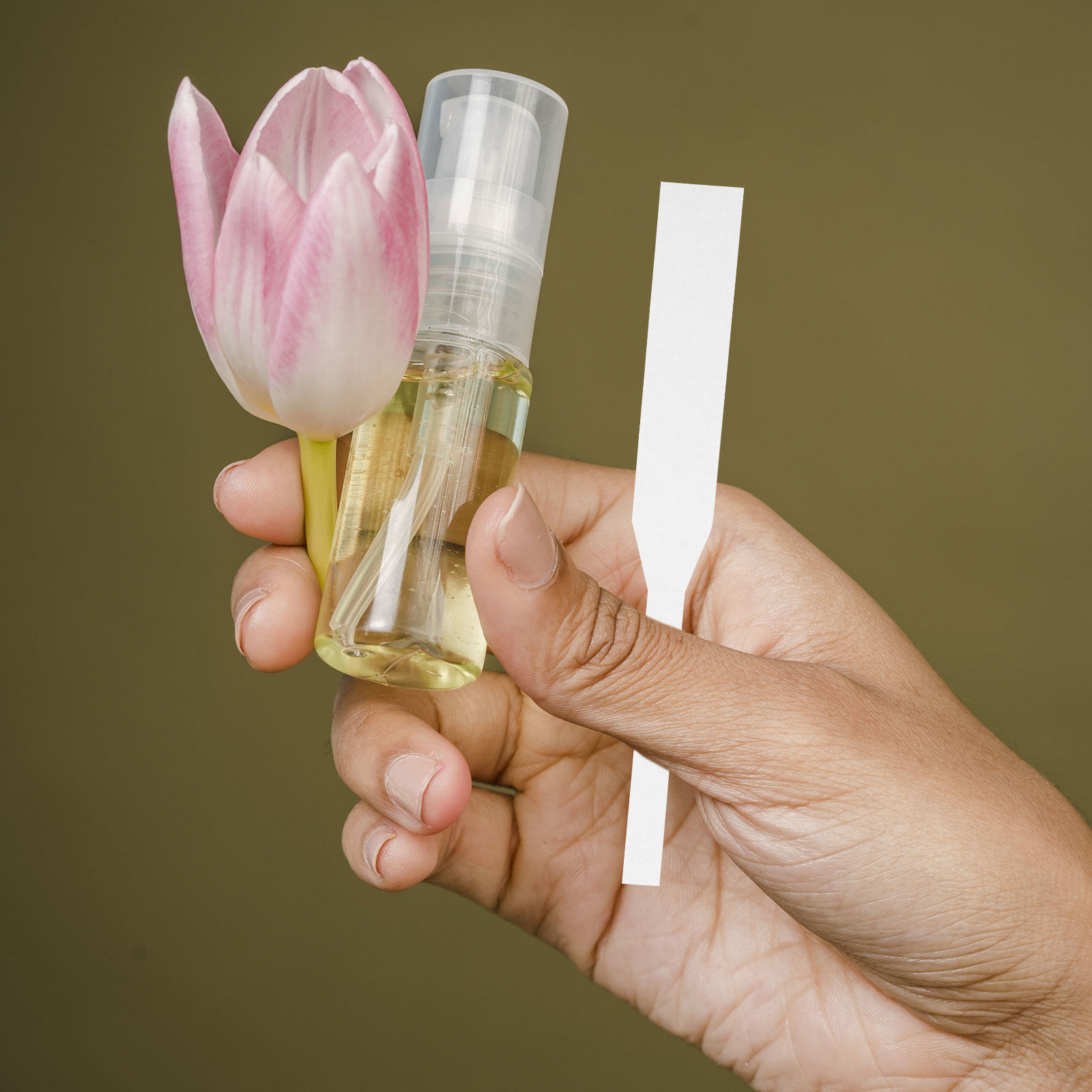 100Pcs Perfume Test Strips Fra - đánh giá và giá Shop Home Fragrance